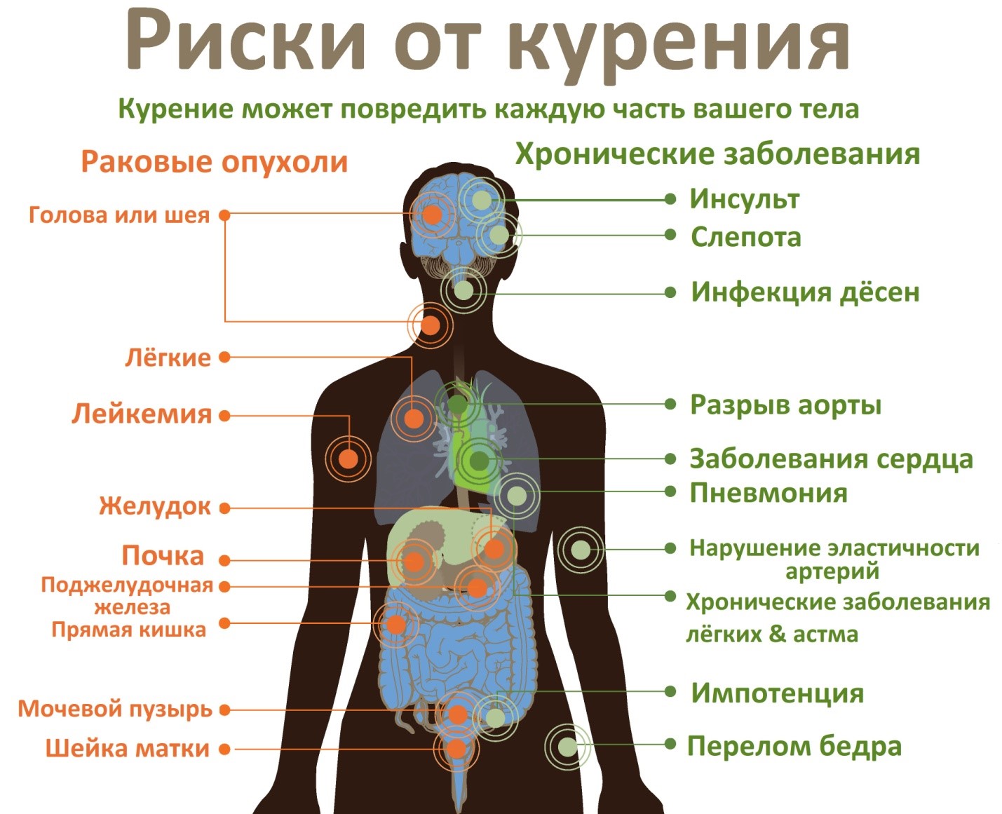 Риски от курения | КГП «ПОЛИКЛИНИКА №2 ГОРОДА КОСТАНАЙ» УПРАВЛЕНИЕ  ЗДРАВООХРАНЕНИЯ КОСТАНАЙСКОЙ ОБЛАСТИ